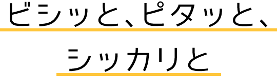 ビシッと、ピタッと、シッカリと